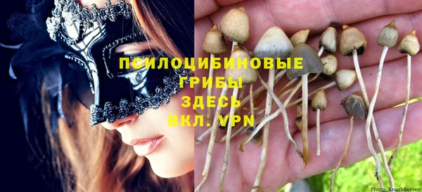 круглые Вяземский
