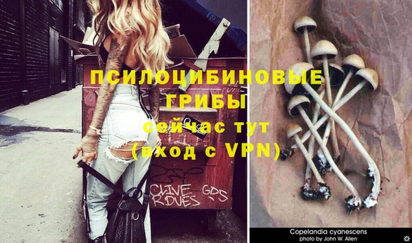 MDMA Premium VHQ Волоколамск