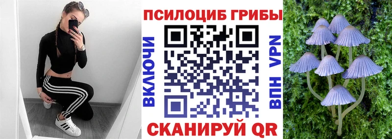Купить где  Новодвинск  Галлюциногенные грибы Psilocybe 